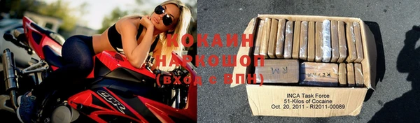 индика Горнозаводск