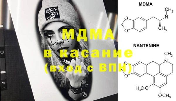 индика Горнозаводск