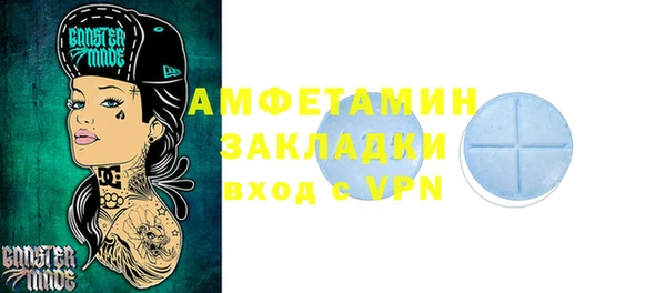 индика Горнозаводск