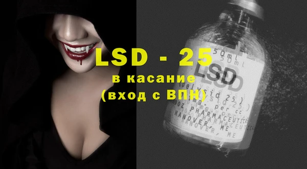 индика Горнозаводск