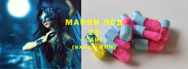 индика Горнозаводск