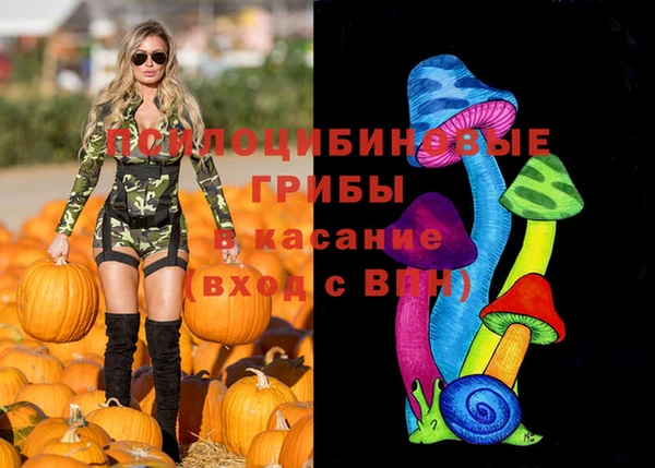 героин Горняк