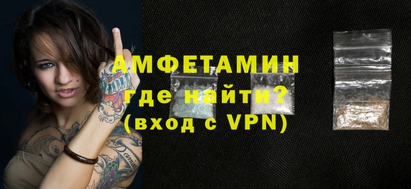 индика Горнозаводск