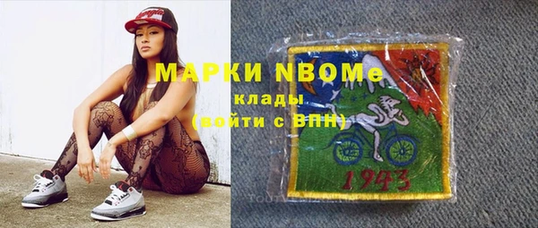 индика Горнозаводск