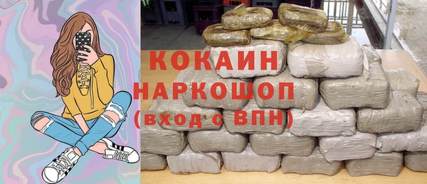 индика Горнозаводск