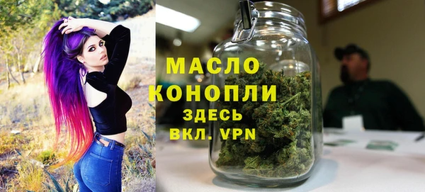 индика Горнозаводск