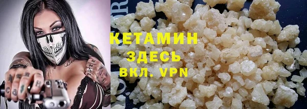 индика Горнозаводск