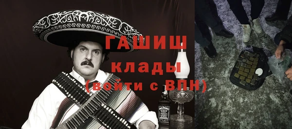 индика Горнозаводск