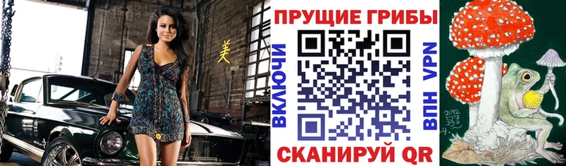 Псилоцибиновые грибы мицелий  Купить закладки  Люберцы 
